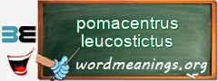 WordMeaning blackboard for pomacentrus leucostictus